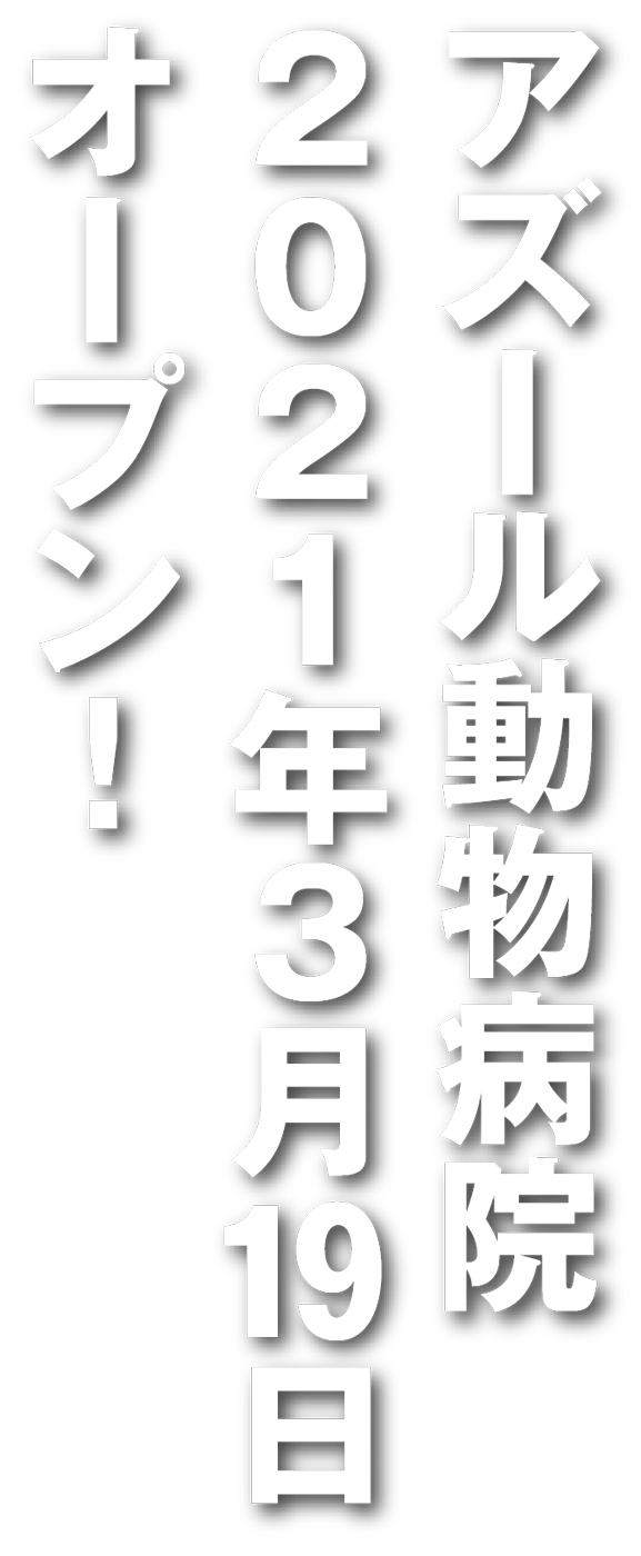 アズール動物病院 東京都世田谷区野沢の動物病院 日曜日も診療 トリミング アズール動物病院は 東京都世田谷区野沢の動物 病院です ノミ ダニ フィラリア予防 ワクチン接種 健康診断 超音波 X線画像検査 一般内科 避妊 去勢手術 入院設備あり